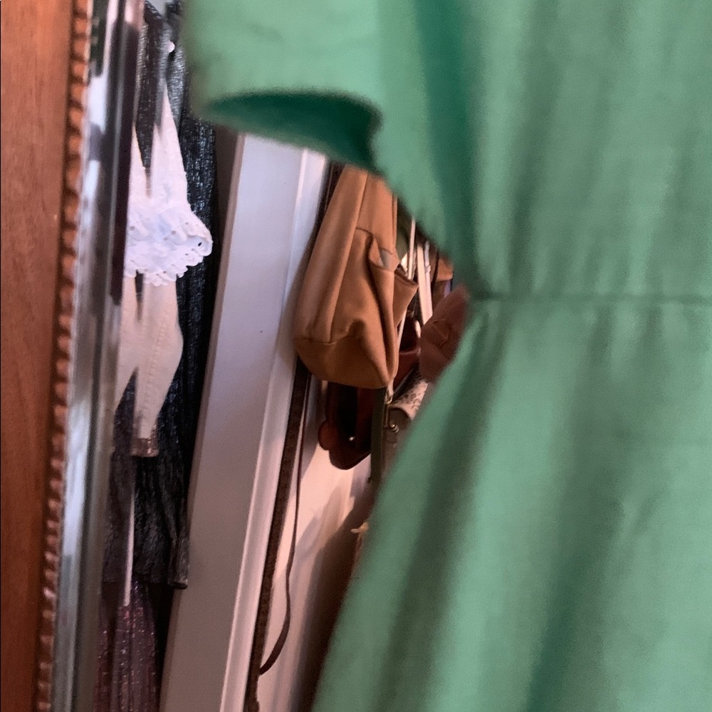 Gap Mint Green Button-Down Dress - image 3